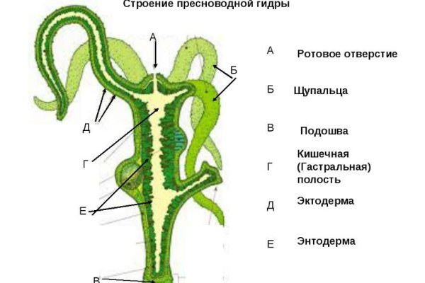 Ссылки на кракен com