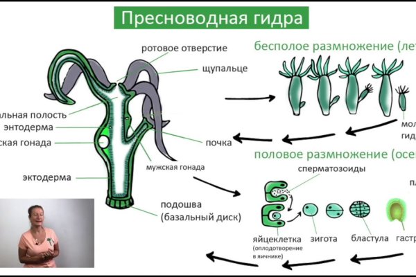 Kraken сайт магазин