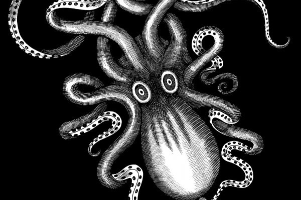 Ссылки зеркала на kraken kraken dark link