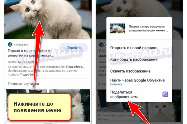 Актуальные ссылки кракен на 2025