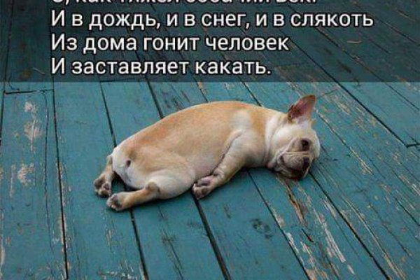 Кракен москва наркотики