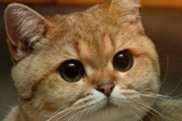 Список сайтов даркнета
